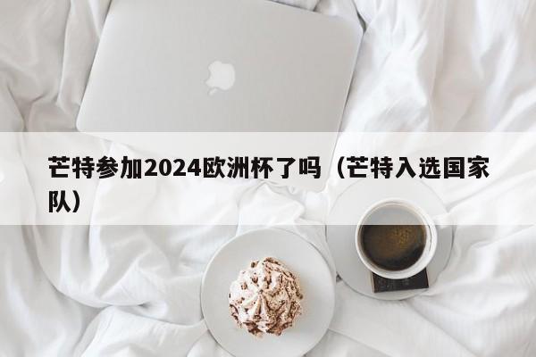 芒特参加2024欧洲杯了吗（芒特入选国家队），芒特入选国家队，将参加2024欧洲杯吗？，芒特入选国家队，将参加2024年欧洲杯吗？  第1张